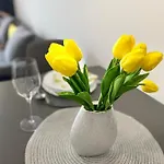 Apartament Pegazus Keszthely